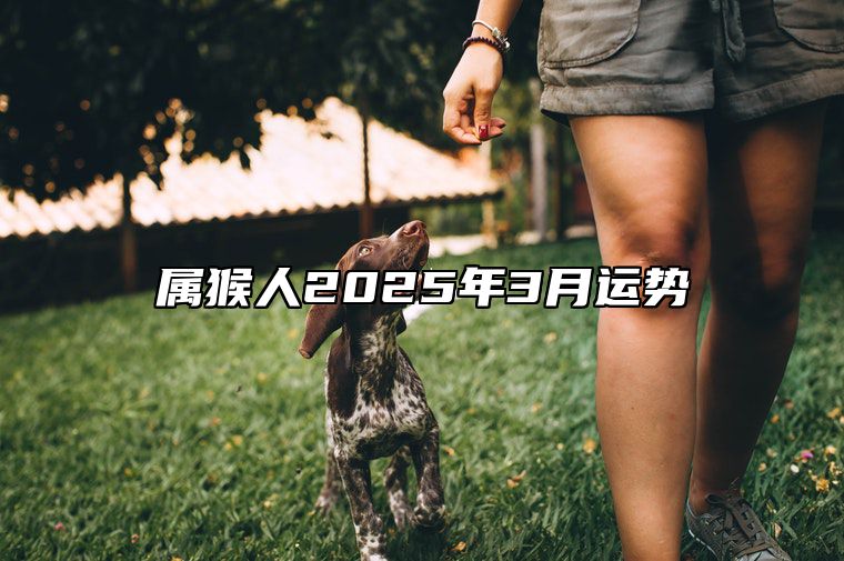 属猴人2025年3月运势 属猴人2023年每月运程