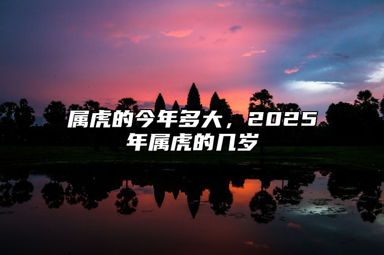 属虎的今年多大，2025年属虎的几岁 2035年属虎的人多少岁