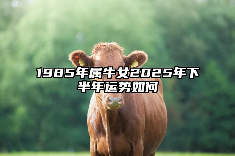 1985年属牛女2025年下半年运势如何