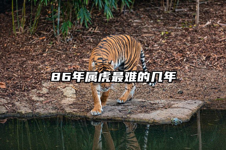 86年属虎最难的几年 1986年属虎最难熬年年纪是几岁