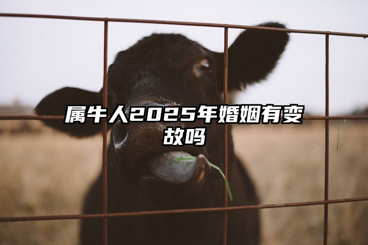 属牛人2025年婚姻有变故吗
