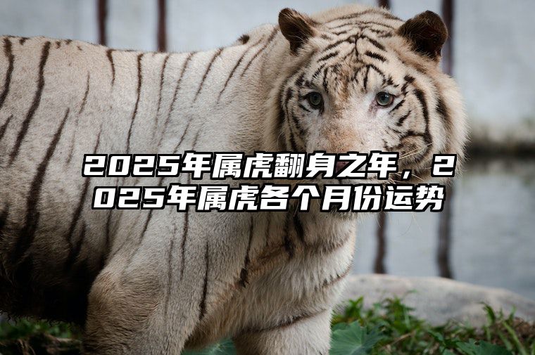 2025年属虎翻身之年，2025年属虎各个月份运势 请问2025年属虎的是什么命人