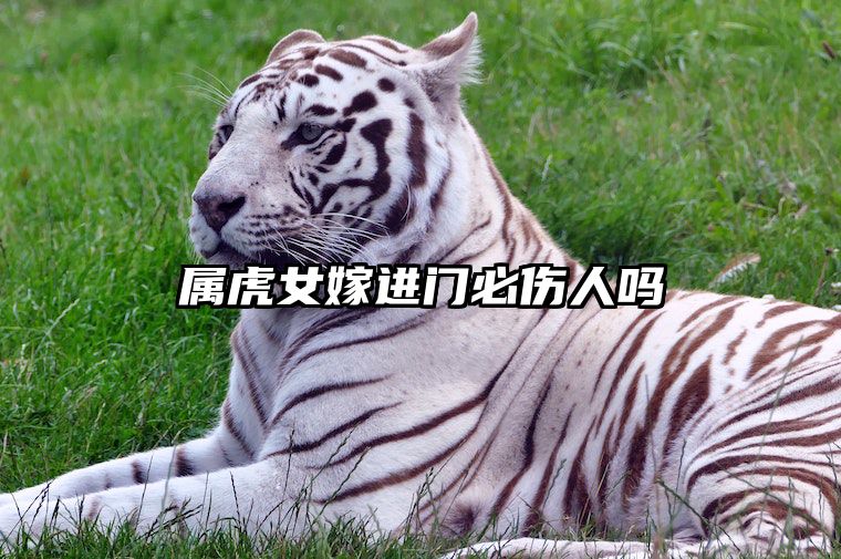 属虎女嫁进门必伤人吗 属虎女出嫁忌什么属相