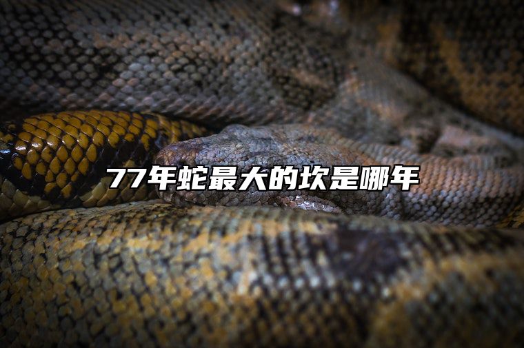 77年蛇最大的坎是哪年 77年蛇2025年有三喜