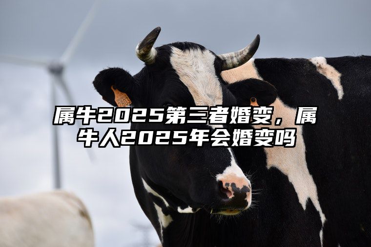 属牛2025第三者婚变，属牛人2025年会婚变吗 属牛的人在2025年怎么样