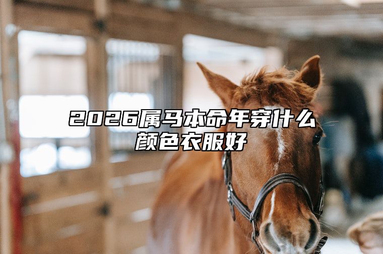 2026属马本命年穿什么颜色衣服好 2026属马什么命运如何
