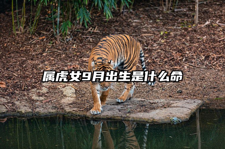 属虎女9月出生是什么命 属虎的女人九月出生的好不好