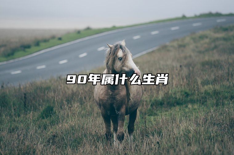 90年属什么生肖 90年属什么生肖什么命人