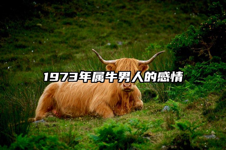 1973年属牛男人的感情