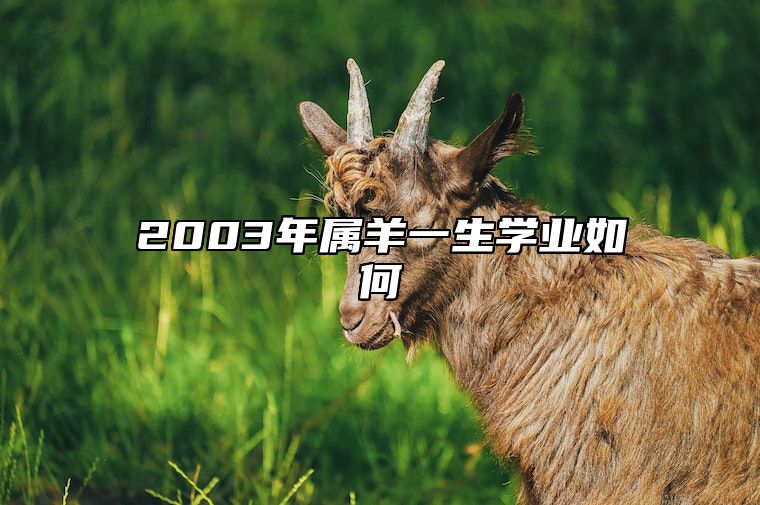 2003年属羊一生学业如何 2003年属羊的今年考运怎么样