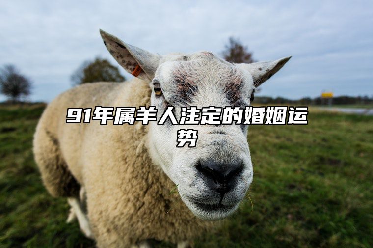 91年属羊人注定的婚姻运势 91年属羊人注定的婚姻运势怎么样