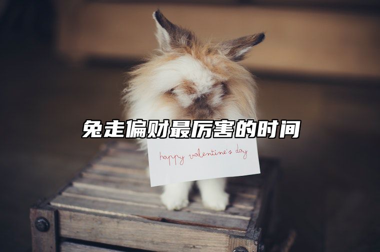 兔走偏财最厉害的时间 属兔偏财位在哪个方向