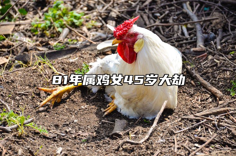 81年属鸡女45岁大劫 81年属鸡女45岁大劫的具体表现