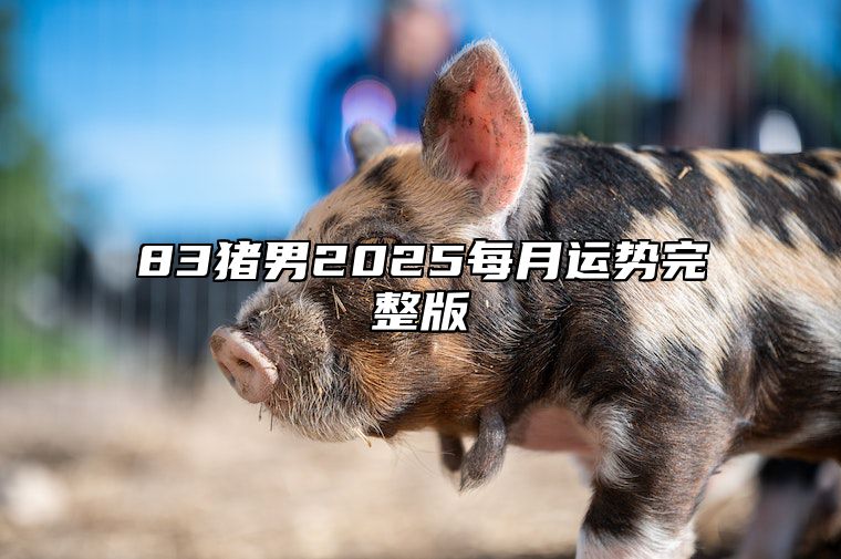 83猪男2025每月运势完整版 83年的猪男2025婚姻情况