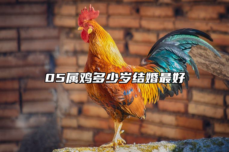 05属鸡多少岁结婚最好 05属鸡的注定婚姻