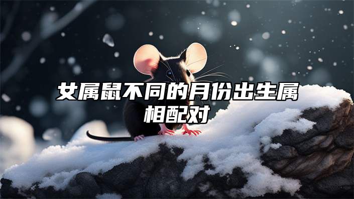 女属鼠不同的月份出生属相配对