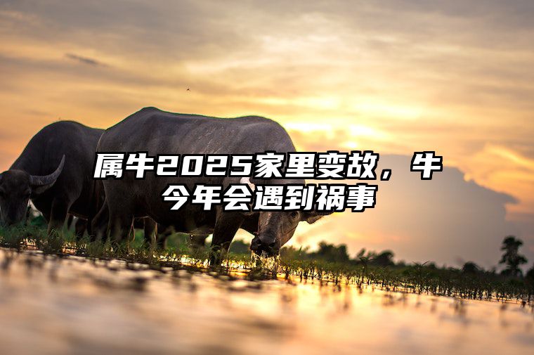 属牛2025家里变故，牛今年会遇到祸事 属牛今年家庭方面如何