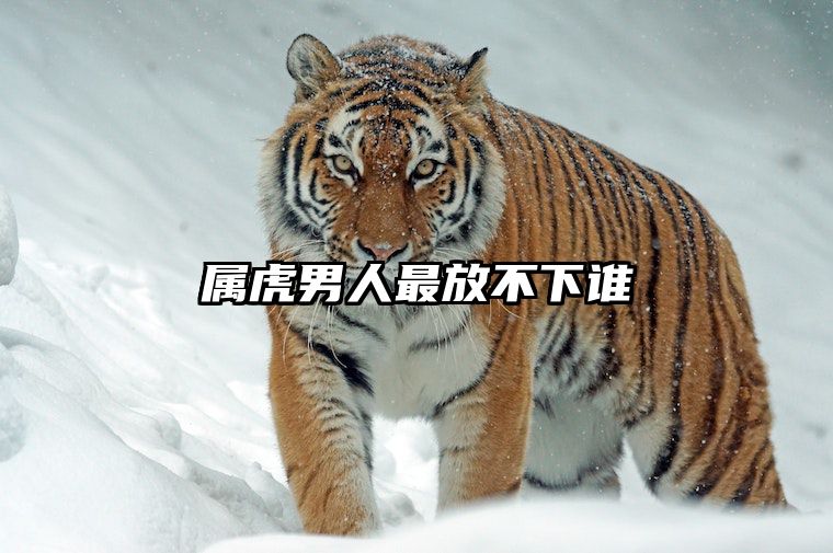 属虎男人最放不下谁 属虎男放不下一个人