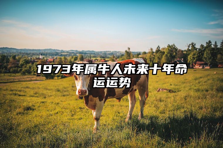1973年属牛人未来十年命运运势
