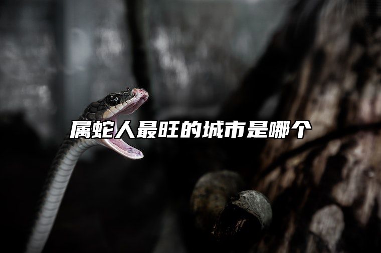 属蛇人最旺的城市是哪个 属蛇人干什么最挣钱