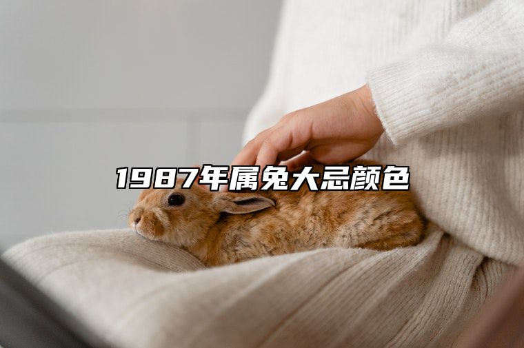 1987年属兔大忌颜色 87年炉中火靠什么发财