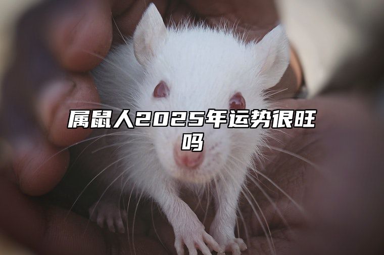 属鼠人2025年运势很旺吗