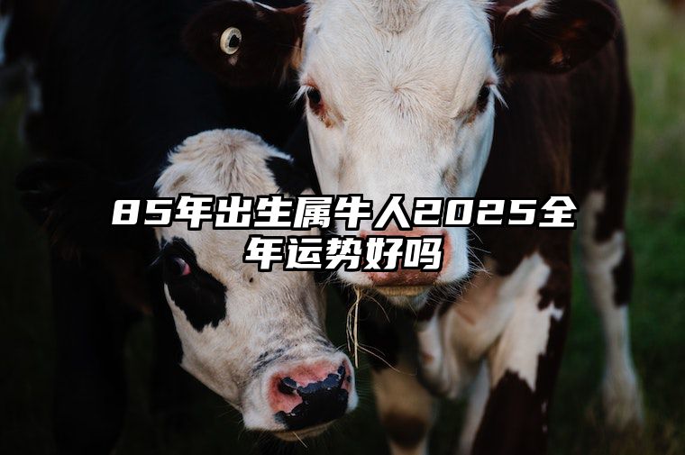 85年出生属牛人2025全年运势好吗