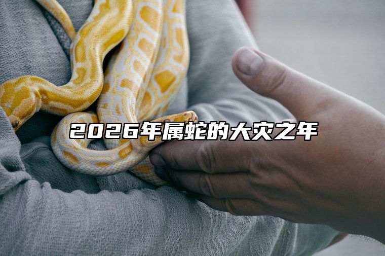 2026年属蛇的大灾之年 2026年蛇年犯太岁的生肖
