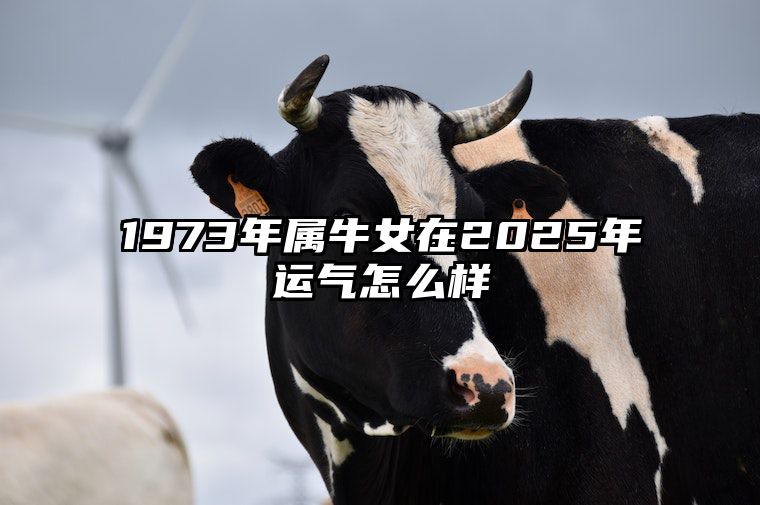 1973年属牛女在2025年运气怎么样
