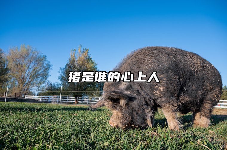 猪是谁的心上人 你知道猪是谁