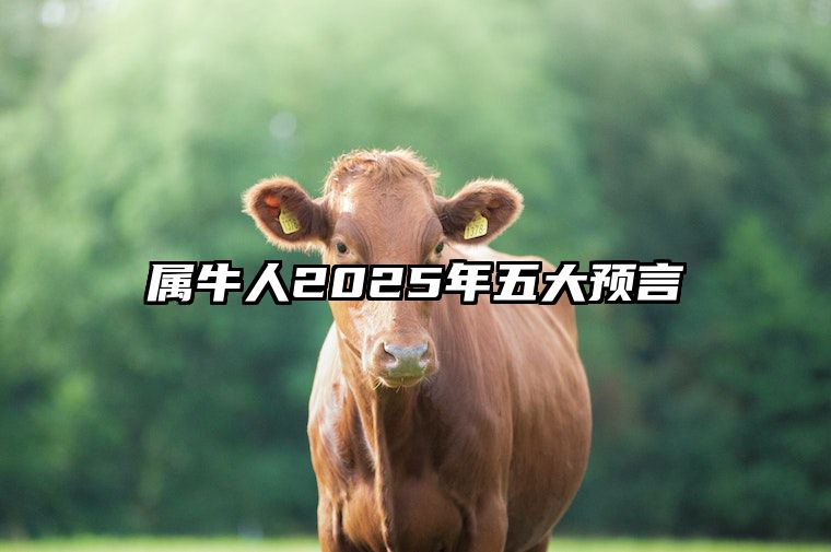 属牛人2025年五大预言