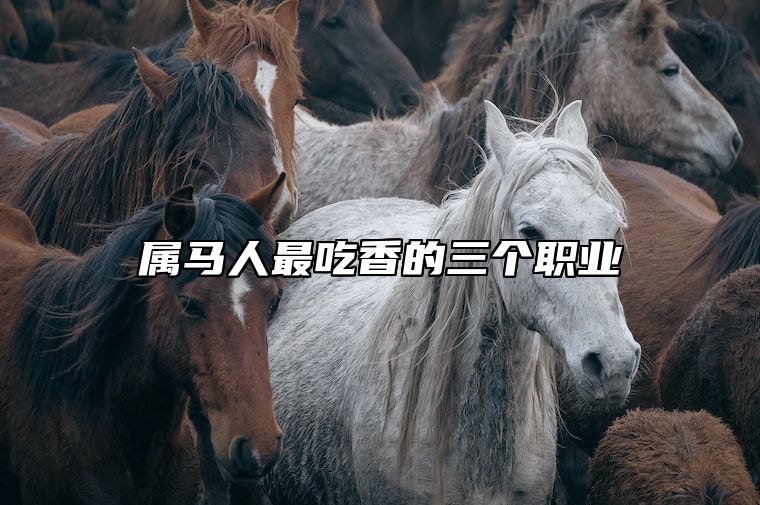 属马人最吃香的三个职业 属马人最吃香的三个职业男