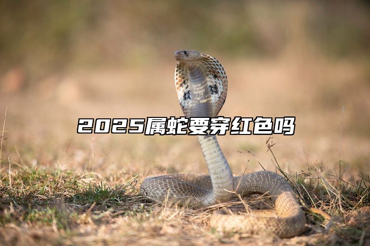 2025属蛇要穿红色吗 2025属蛇要穿红色吗77的蛇能穿红色吗