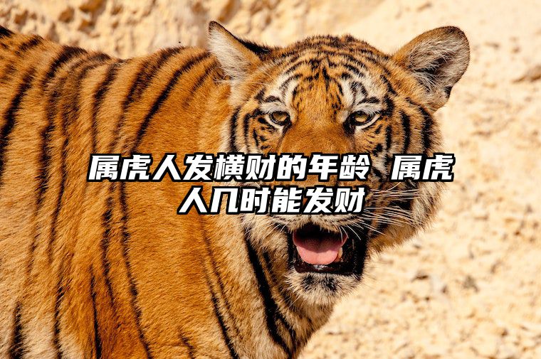 属虎人发横财的年龄 属虎人几时能发财 属虎人发财年份