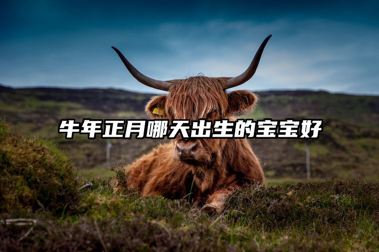 牛年正月哪天出生的宝宝好