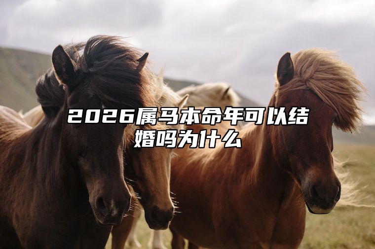 2026属马本命年可以结婚吗为什么 2026年的马