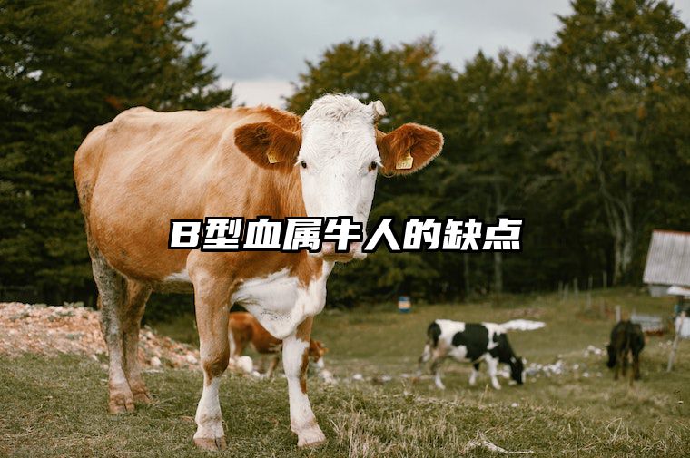 B型血属牛人的缺点 属牛人几月出生最好