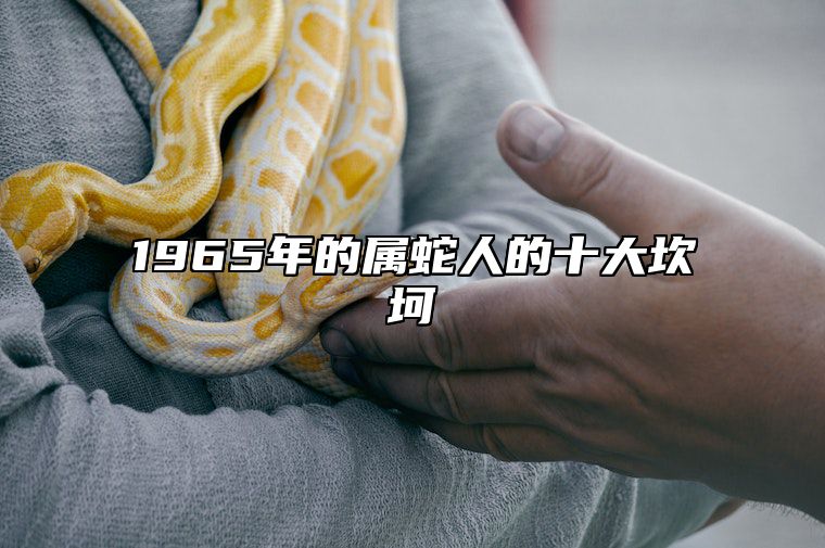 1965年的属蛇人的十大坎坷 1965年的属蛇人的十大坎坷之处