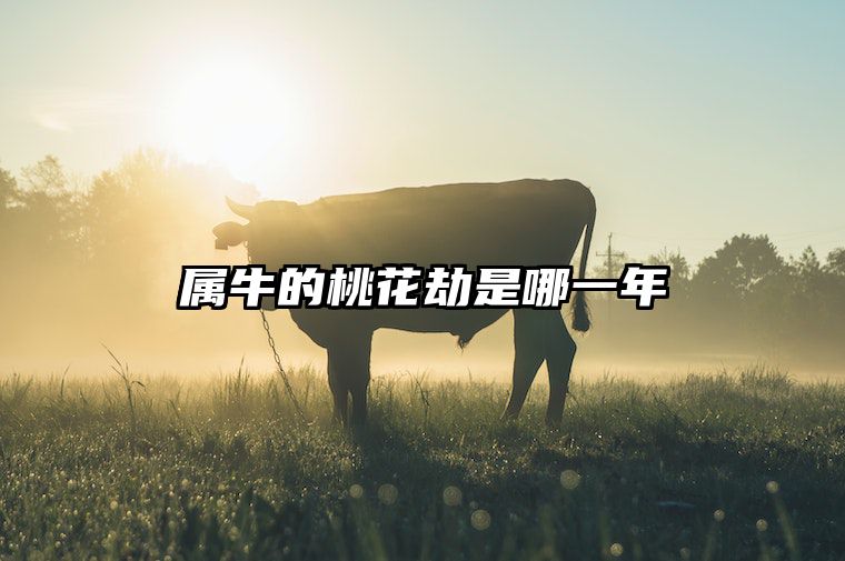 属牛的桃花劫是哪一年 属牛的桃花劫是什么属相