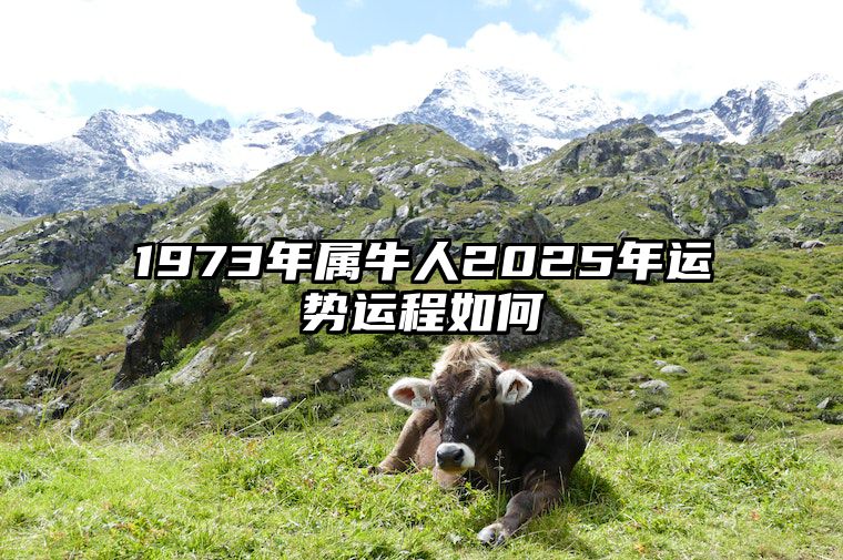 1973年属牛人2025年运势运程如何
