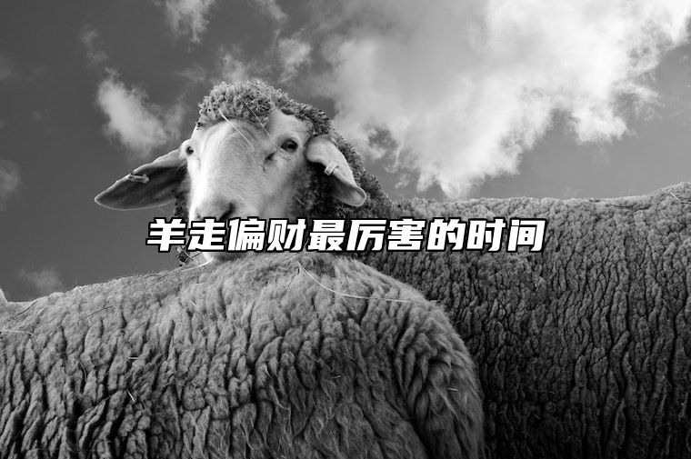 羊走偏财最厉害的时间 羊人今年偏财运在什么时候