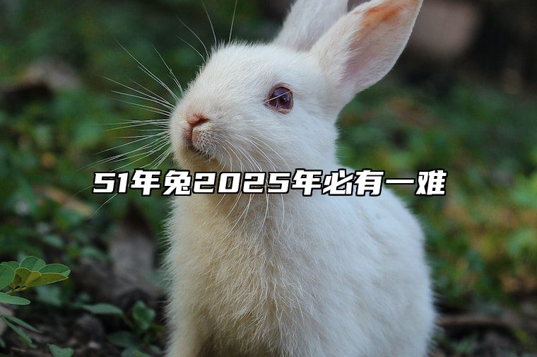 51年兔2025年必有一难 属兔人一生最克3个人