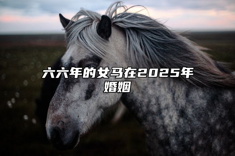六六年的女马在2025年婚姻 属马女会被谁纠缠一生