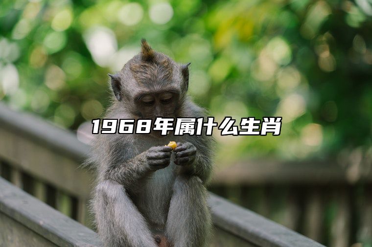1968年属什么生肖 1968年属什么生肖属相