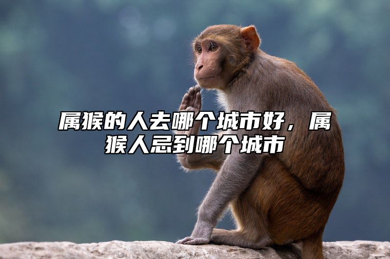 属猴的人去哪个城市好，属猴人忌到哪个城市 属猴人去哪个城市发展最好