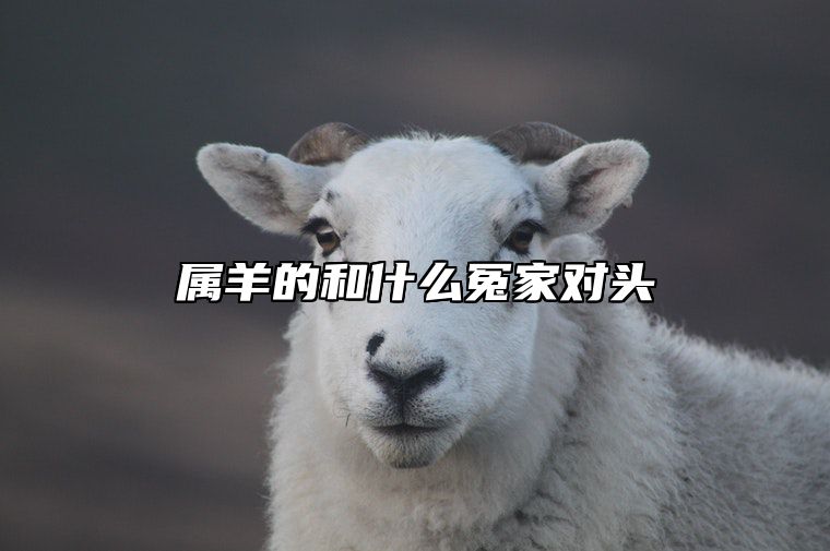 属羊的和什么冤家对头 属羊的和属什么的犯相