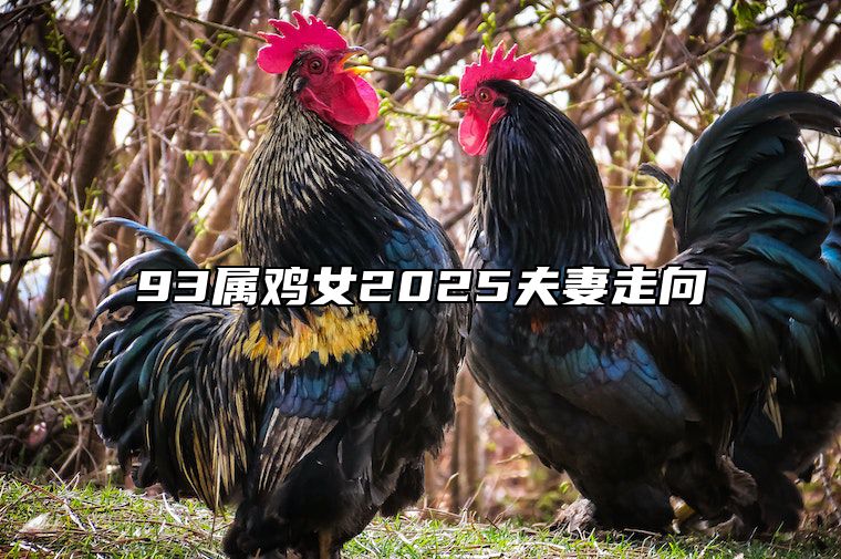 93属鸡女2025夫妻走向 93属鸡女2021年感情运势