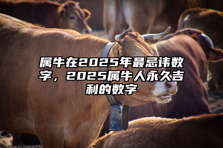 属牛在2025年最忌讳数字，2025属牛人永久吉利的数字 属牛人2025年全年运势详解