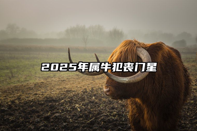 2025年属牛犯丧门星 属牛人2025年躲不过的大难