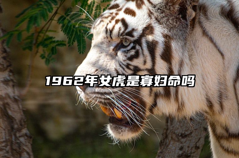 1962年女虎是寡妇命吗 1962年属虎人的终生寿命